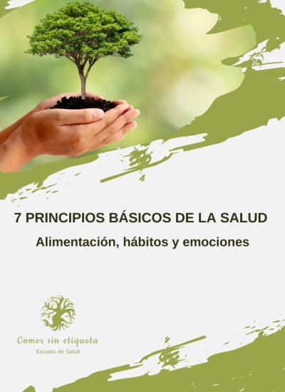 Librito 7 principios básicos de la salud (Alimentación, hábitos y emociones)